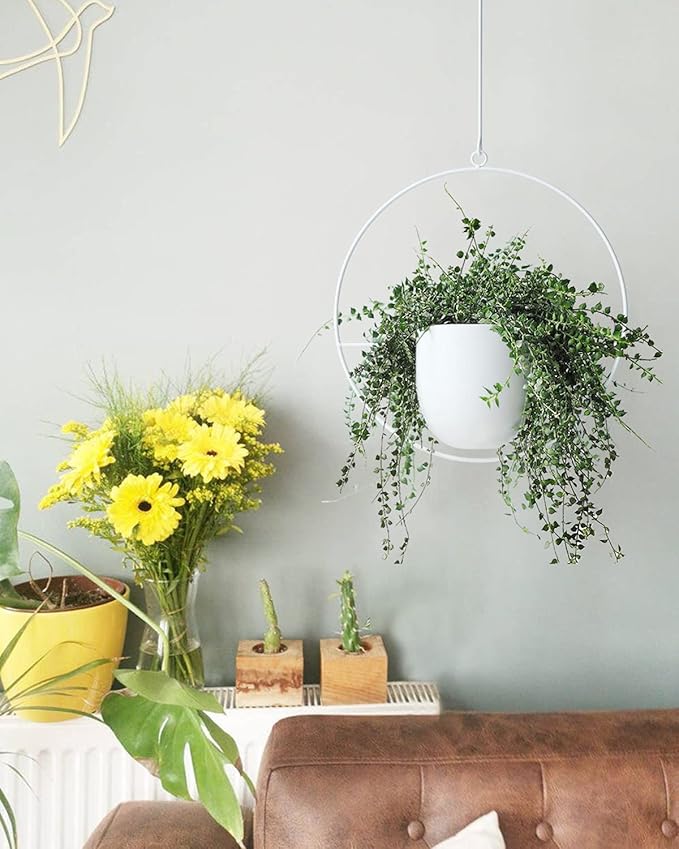 2 Pack Hanging Planters for Indoor Outdoor Plants Modern Metal Plant Hangers Wall and Ceiling Hanging Plants Baskets Mid Century Minimalist Flower Pots Home Decor, White