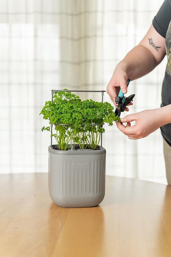 Vego garden Mini Planter Indoor Pots with Trellis Self-Watering Herb Countertop Planter for Climbing Vegetables Flowers Mint Plants Cage 2 Pack- Fog Gray