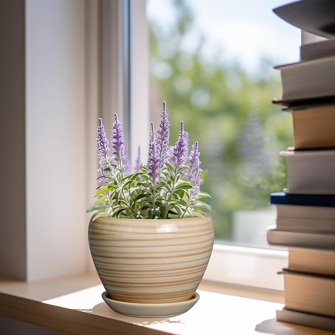 6 Inch Plant Pot Ceramic - Decorative Planter for Indoor Plants Succulent Pot with Drainage Hole and Saucer Round Planter Outdoor Flower Pot for House Patio Yellow