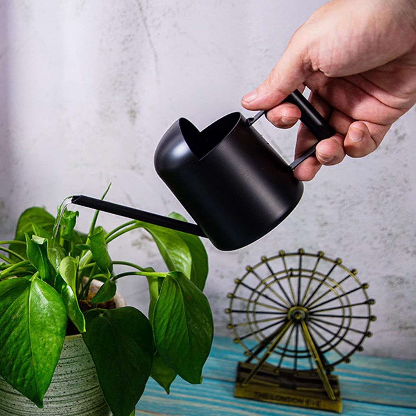Watering Cans, 10oz/300ml Stainless Steel Long Spout Small Watering Sprinkling Pot, Indoor Outdoor Garden Flower Succulents Plant Watering Cans, Stylish Gardening Decoration(Black)