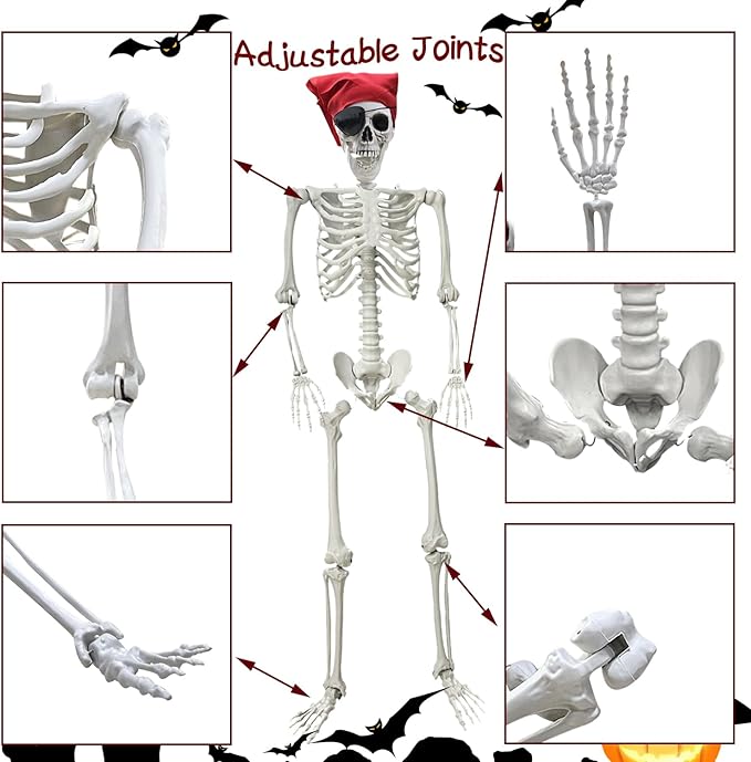 5.4Ft Halloween Skeleton - Life Size Full Body Realistic Human Bones with Posable Joints for Halloween Pose Skeleton Prop Decoration