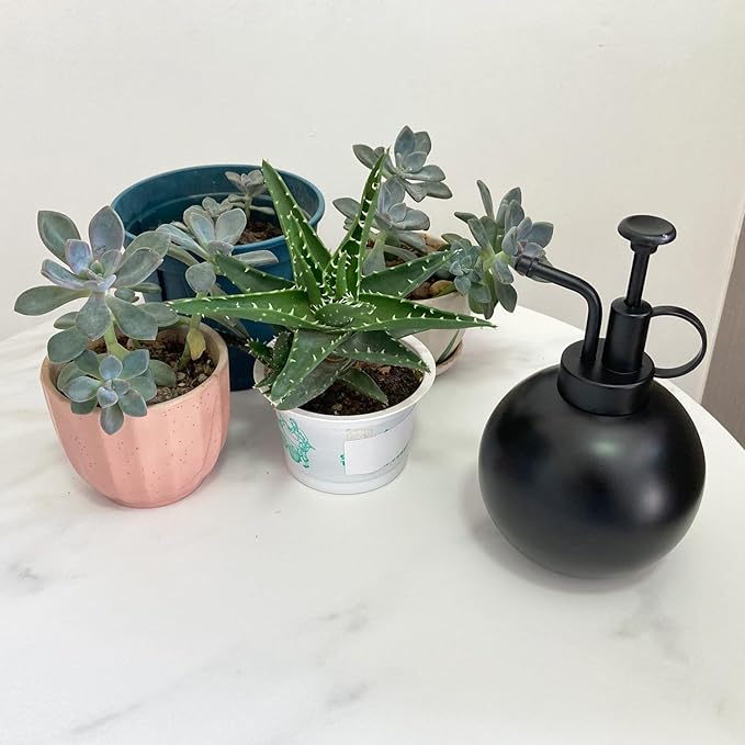 Plant Mister Spray Bottle Stainless Steel Plant Sprayer, Small Watering can Plant Spray Bottle Modern Gardening Tools for Indoor Potted Plants Watering and Spraying