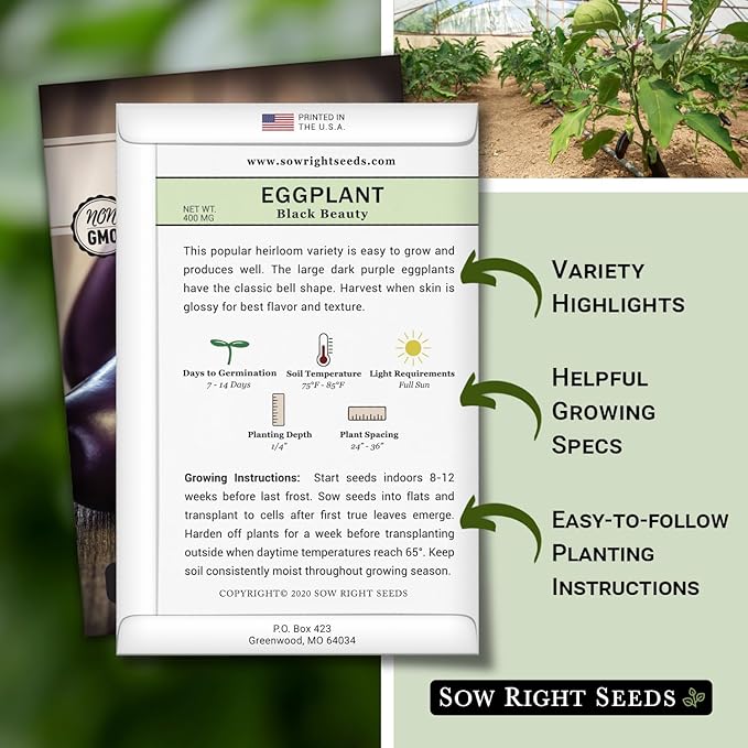 Sow Right Seeds - Black Beauty Eggplant Seed for Planting - Non-GMO Heirloom Packet with Instructions to Plant an Outdoor Home Vegetable Garden - Large Round Fruits, Deep Purple Variety (1)