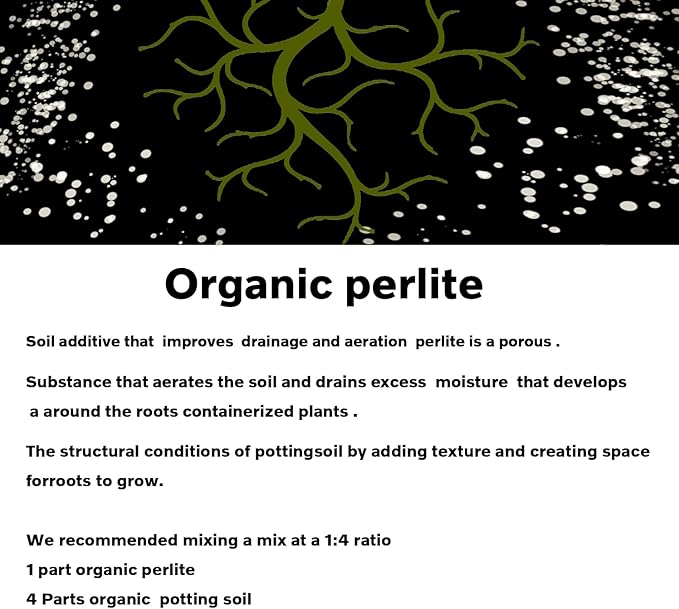 10 QT Professional Grade Horticultural Organic Perlite (10 QT, Perlite)