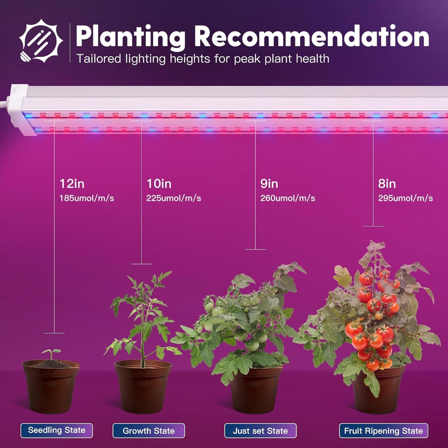 FREELICHT 1 Pack 4ft LED Grow Light, 60W (350W Equivalent), Red Blue (660nm+460nm) Full Spectrum Grow Lights for Indoor Plants, Hanging Plug in Grow Lamp for Hydroponic Greenhouse Plants Seedling Veg