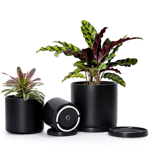 D'vine Dev Black Terracotta Pots for Plants, 4.2 Inch 5.3 Inch 6.5 Inch, Succulent Planter Pot with Drainage and Saucer, 40-T-A-2
