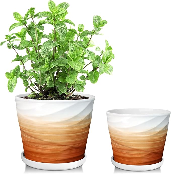 6.7 + 5.5 Inch Plant Pot, Ceramic Planter with Drainage and Saucer，Ceramic Pots for Plants, Indoor Plant pots，planters for Indoor Plants(Khaki + White)