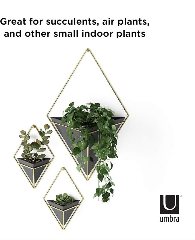 Umbra Trigg Hanging Planter Vase Wall Decor, Pot and Container for Succulents, Cactus, Faux Plants, and More, Large, Black/Brass