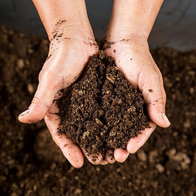 Organic Sphagnum Peat Moss, Added to Soil and Enriches Plant Roots, Gardening Soil Amendment and Carnivorous Plant Soil Media(1qt)