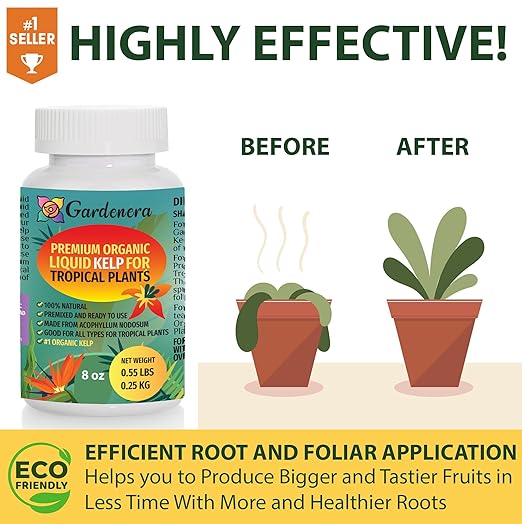 Organic Liquid Kelp Fertilizer for Tropical Plants - 16 oz - Revitalize Your Tropical Plants with Natural Seaweed Goodness