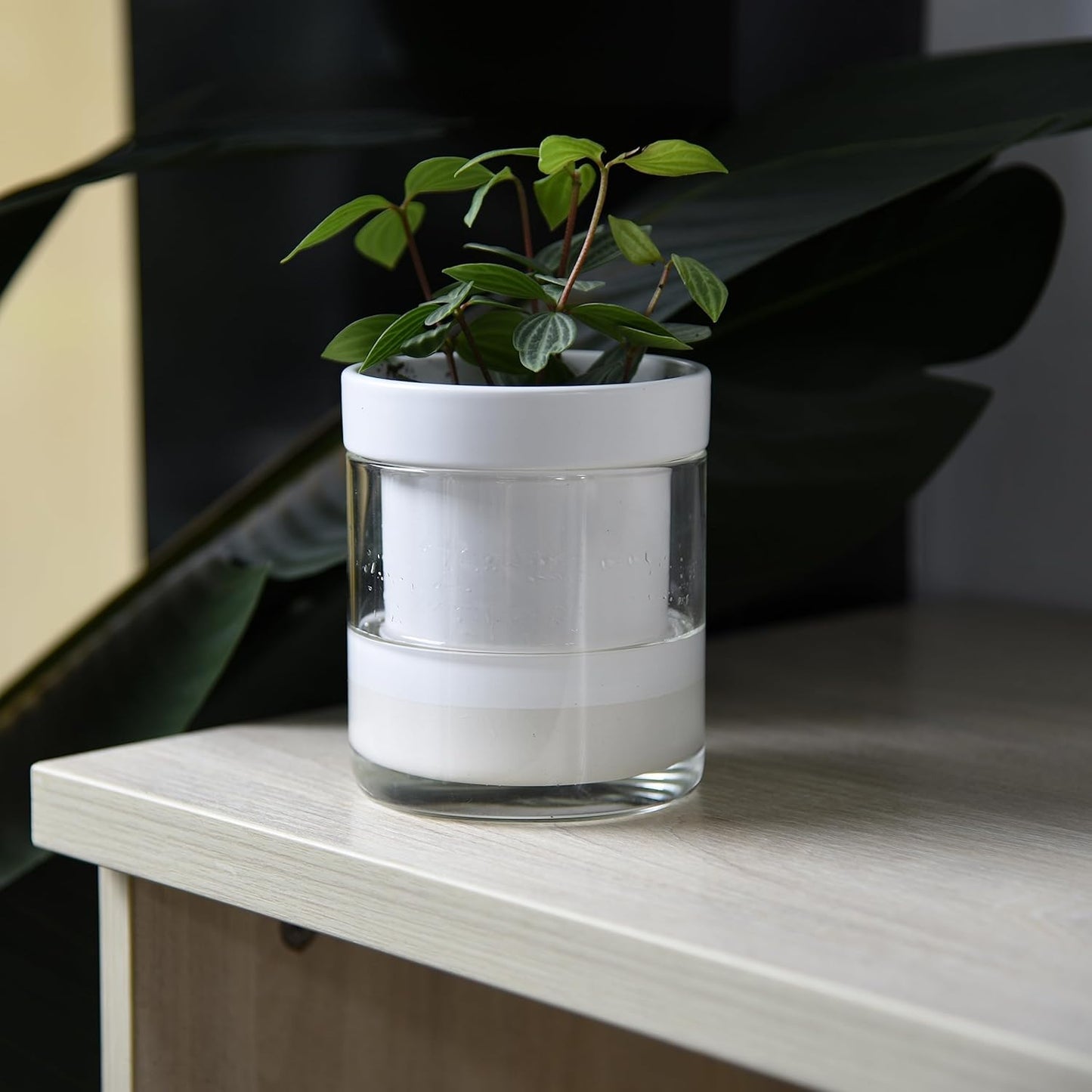 Phoenix Vine 4 Inch Self Watering Planter, White Terracotta Clay Pot with Glass Reservoir for Indoor Plants, Herbs, Flowers, Set of 1, 52-B-E-1