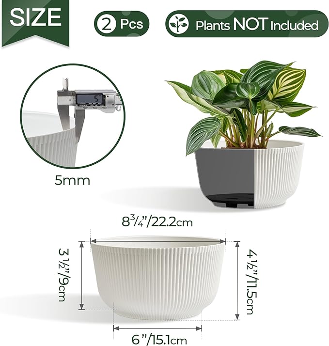 T4U Plant Pots 8 Inch, 2 Pack Self Watering Indoor Planter with Drainage Hole, Shallow Plant Pot, Home Decor Flower Pots for Plants, Herbs, Garden, White