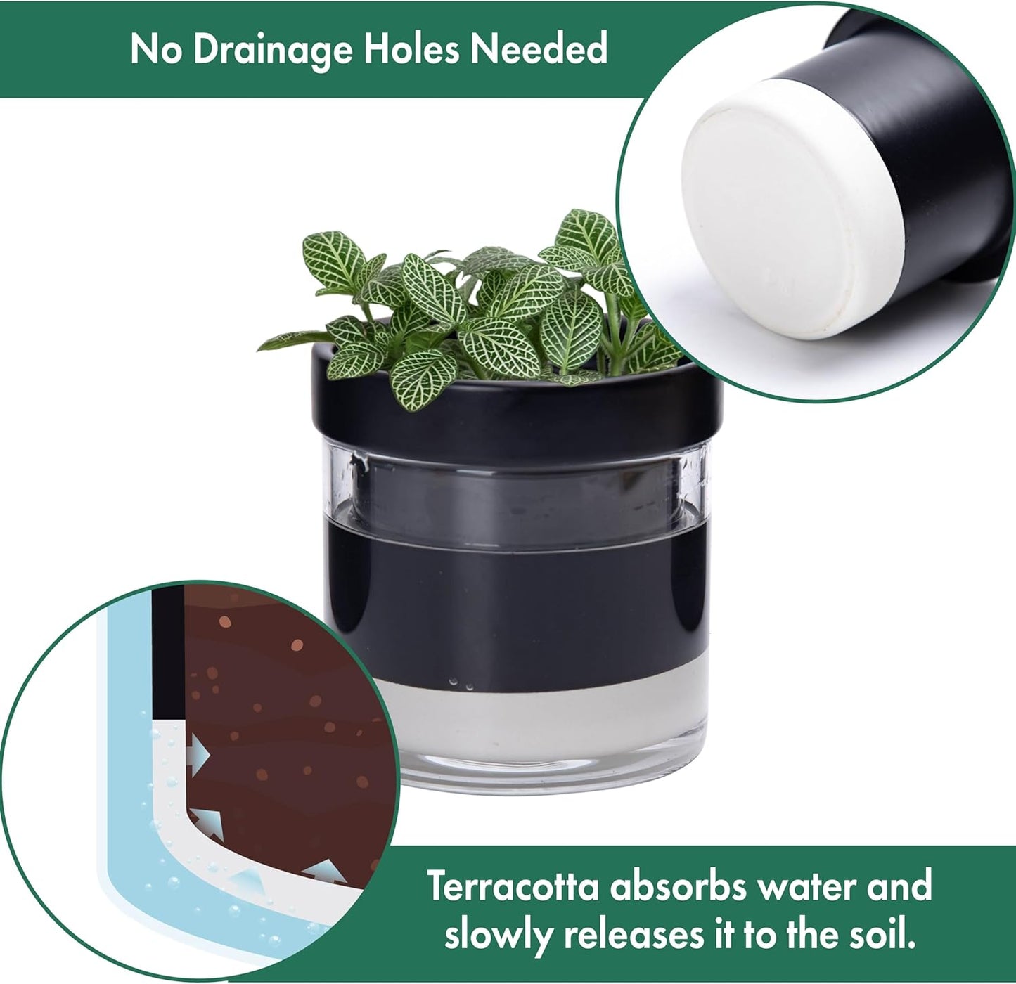 Phoenix Vine 4 Inch Self Watering Planter Pot, Black Terracotta Clay Pot with Glass Reservoir for Indoor Plants, Herbs, Flowers, Set of 4, 52-C-E-4