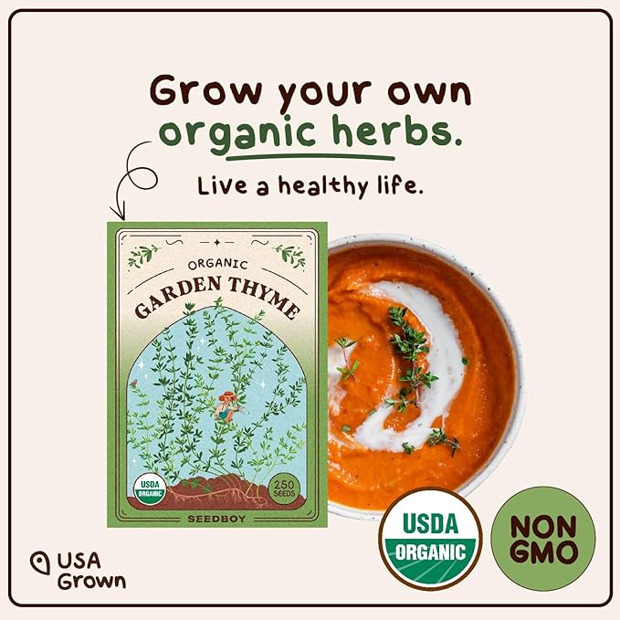 Organic Thyme Herb Seeds for Indoor Gardening or Planting Outdoors, Non-GMO and USDA Certified Herb Seed Packets, 250 Seeds/500 mg (Thyme)