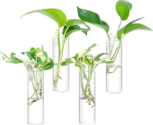 Ivolador Wall Plant Propagation Station Hanging Glass Planter Vase Terrarium Container Cylinder Shape Perfect for Propagating Hydroponic Plants Home Office Garden Decor Wedding-4PCS