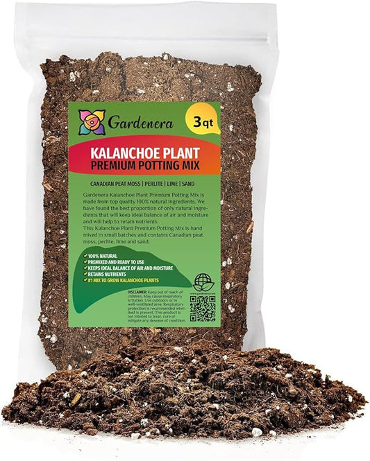 Kalanchoe Plant Premium Potting Mix - Maintain Ideal Air and Moisture Balance for Success - 3 Quart