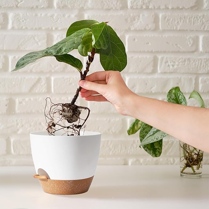 White Self Watering Pots with Drainage Planting Pots for HousePlants Plastic Flower Pots Outdoor Plant Pots Gift Idea Decorative Flower Pots Draining Pots for Indoor Plants