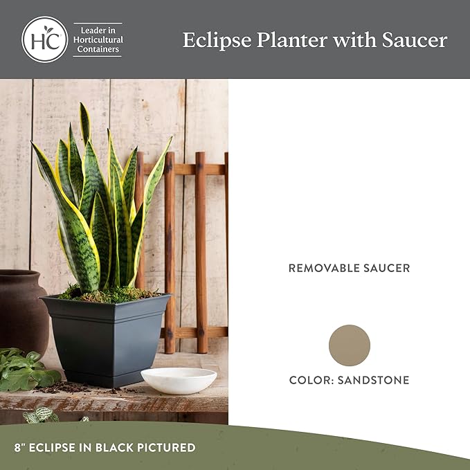The HC Companies 6 Inch Eclipse Square Planter with Saucer – Indoor Outdoor Plant Pot for Flowers Vegetables Herbs, Sandstone (Pack of 4)