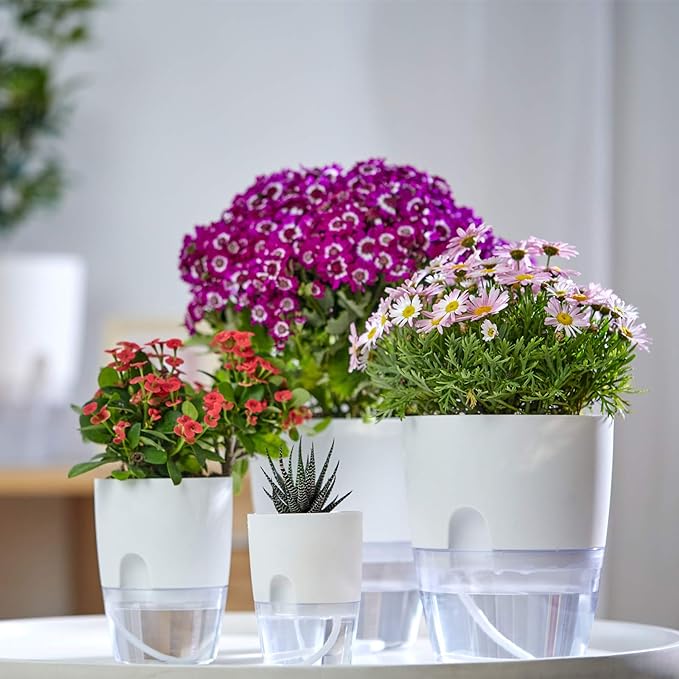 Self Watering Pots for Indoor Plants, 5 Pack 6/4.1/3.2 Inch Flower Pot Modern Decorative Plastic Planter with Extra Large Water Storage for All House Plants, Flowers, Herbs(White)
