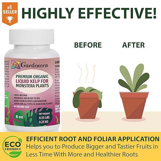 Monstera Plant Superfood - 8 oz - Organic Liquid Kelp Fertilizer for Stunning Growth and Vibrant Foliage