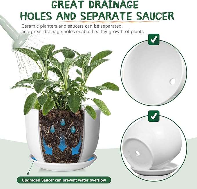 8 Inch Ceramic Planter, Plant Pots with Drainage Hole and Separable Saucer,Indoor-Outdoor Round Succulent Orchid Flower Pot,Indoor pots for Plants(Smooth White,Plant Pot only)