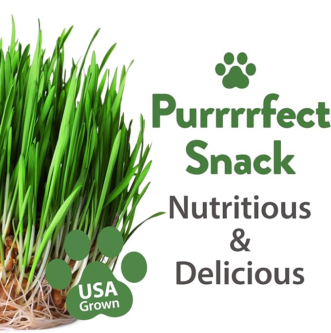 HOME GROWN 3 Cat Grass Seed Mix – Non-GMO Heirloom Oat, Alfalfa & Cat Grass Seeds | Indoor Pet Grass for Cats | High-Germination Greens for Hairball Control, Digestion, and Chewing Enrichment