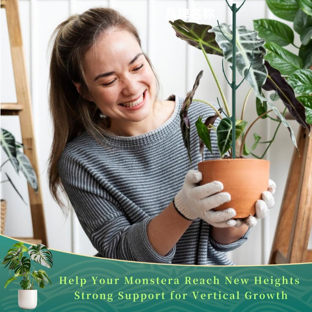 5 Pack Stackable Monstera Plant Support Stakes, 38inch Climbing Garden Plant Support Sticks Structures for Indoor Outdoor Plants Alternative to Moss Pole