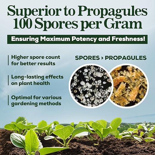 Mycorrhizal Fungi Organic Root Enhancer for Plants, Super Potent 100 Spores Per Gram, 5-Strain Blend, Rapid Results for Gardens, Houseplants, Lawns, Smart Grower 250 Grams (2 Pack of 125G)