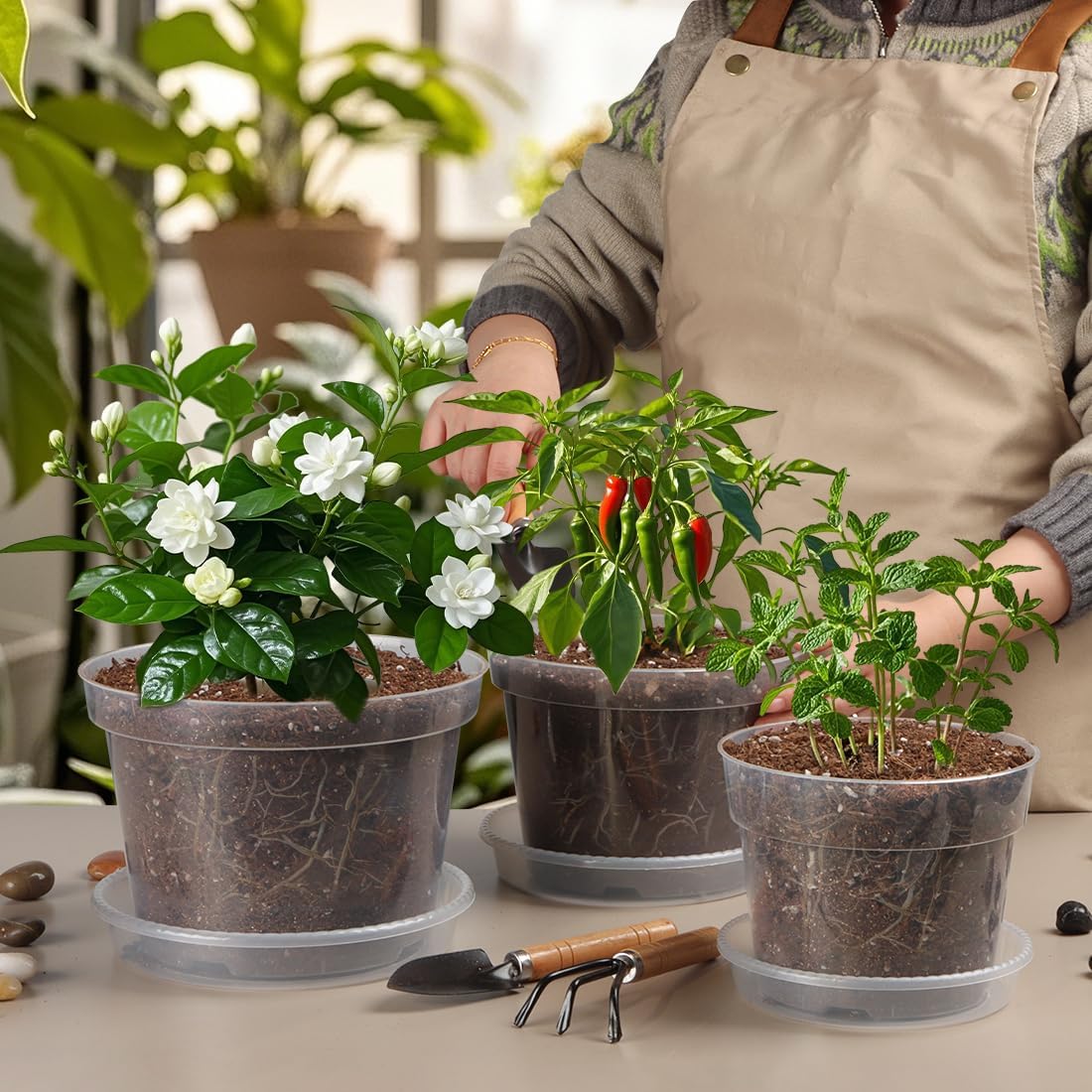 9 Pack 8/7/6 Inch Clear Nursery Pots for Plants with Saucer, Transparent Plastic Plant Pots with Drainage Holes, Sturdy Seedling Starter Pot, Garden Planter Pot for Succulents Flowers Herb Vegetables