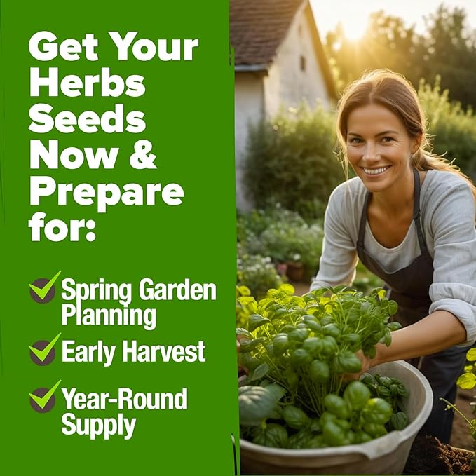 HOME GROWN 6 Herb Seeds Variety Pack – Plant an Indoor or Outdoor Herb Garden: Basil, Lavender, Cilantro, Parsley, Thyme and Oregano Seeds – 3200+ Non-GMO Heirloom Herb Seeds – Bonus Markers