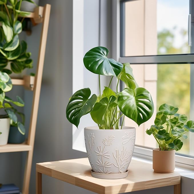 6 Inch Ceramic Plant Pot for Indoor Plants Outdoor Round Planter Flower Pot with Drainage Hole and Saucer for Home Garden Office Decor White