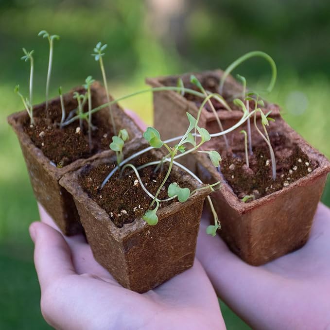 Seed Starting Soil Mix 2qt, Seed Starter Seedling Soil Ready to Use Suitable for Vegetable, Flower, Houseplant and Bonsai