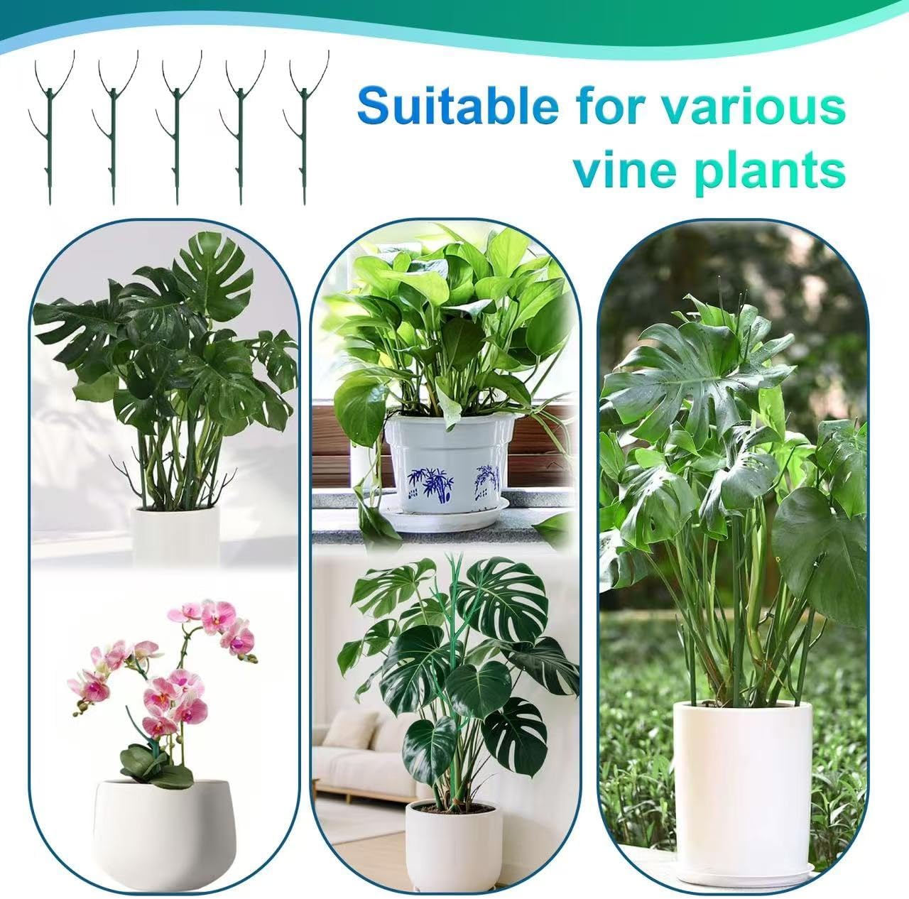 5pack Stackable Monstera Support Frame Set Indoor Outdoor Plant Gardening Supports Ideal for Climbing Plants, Potted Plants, and Other Horticultural Accessories