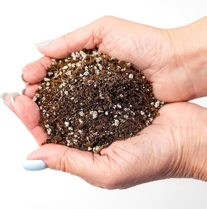 Premium Organic Seed Starter Soil - 1 Quart - All-Purpose Organic Potting Soil for Happy Seedlings and Plants by Gardenera