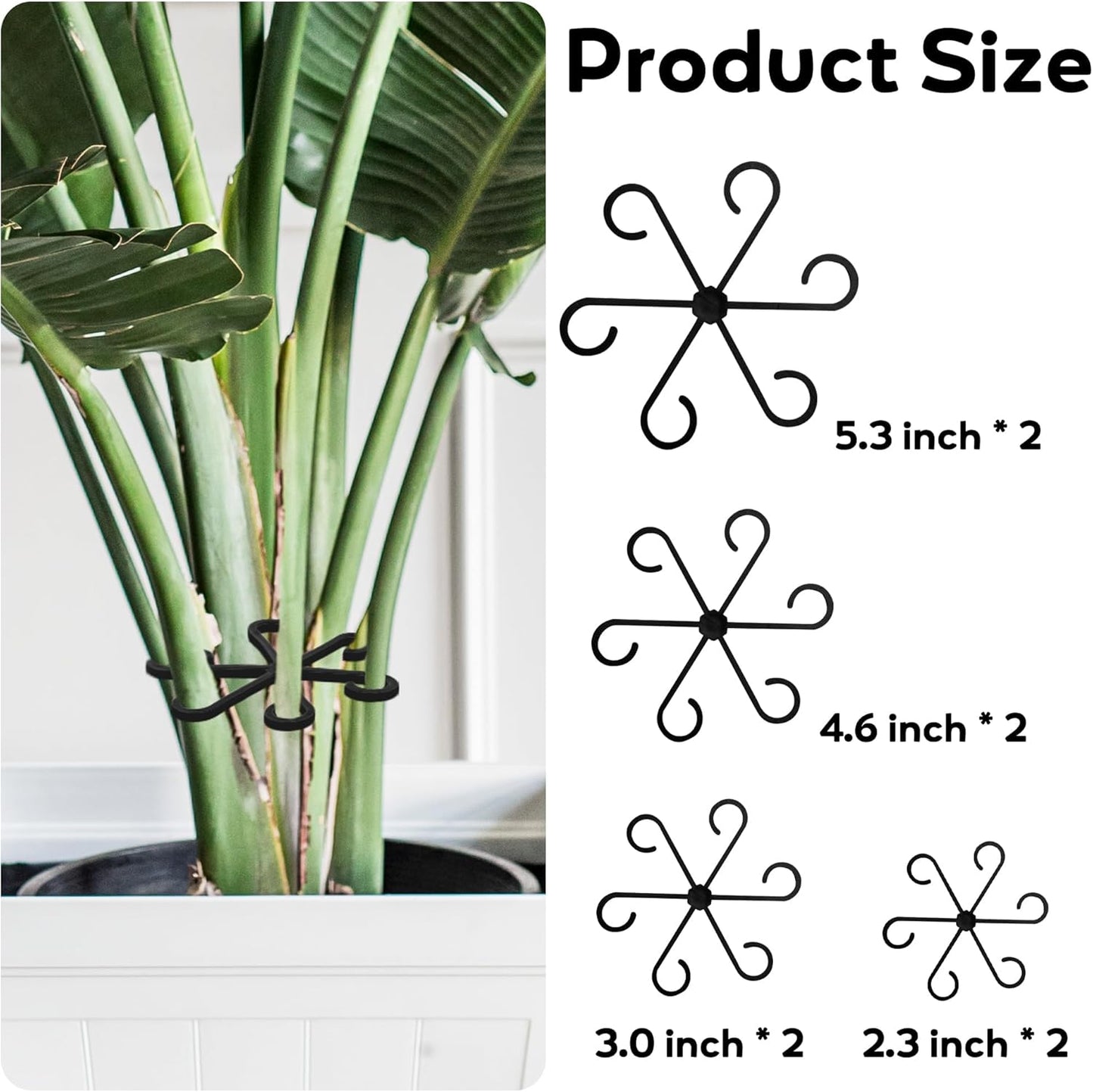 Plant Stem Support Set, 8Pcs 4 Sizes Plant Trellis Rings for Climbing Plants Indoor, Support Holder Ring for Different Growth Stages, Climbing Houseplant Trellis for Potted (Black)