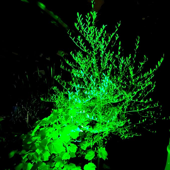 T-SUNUS Green Solar Lights Outdoor 2 Pack, IP65 Waterproof Solar Spotlight, Auto-on/Off Security Wall Light Landscape for St. Patrick's Day Halloween Christmas Tree Patio Yard Garden Driveway Pool