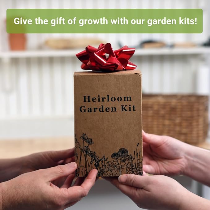 Sow Right Seeds - Cilantro Seeds for Planting Indoors - Grow your own Herbs Kit - Includes Pots & Potting Soil - Non-GMO Packet with Instructions - Fresh or Dried Herbs in the Kitchen - Gardening Gift
