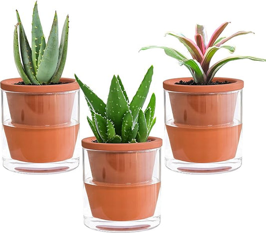 D'vine Dev 4 Inch Design Self Watering Pot for Indoor Plants, Terracotta Planter with Cylinder Glass Cup, Set of 3, 37-X-A-3