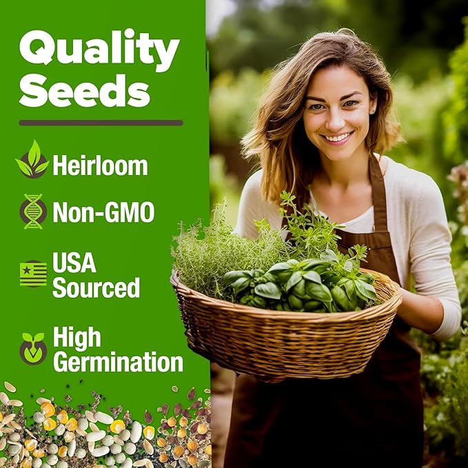HOME GROWN 6 Herb Seeds Variety Pack – Plant an Indoor or Outdoor Herb Garden: Basil, Lavender, Cilantro, Parsley, Thyme and Oregano Seeds – 3200+ Non-GMO Heirloom Herb Seeds – Bonus Markers