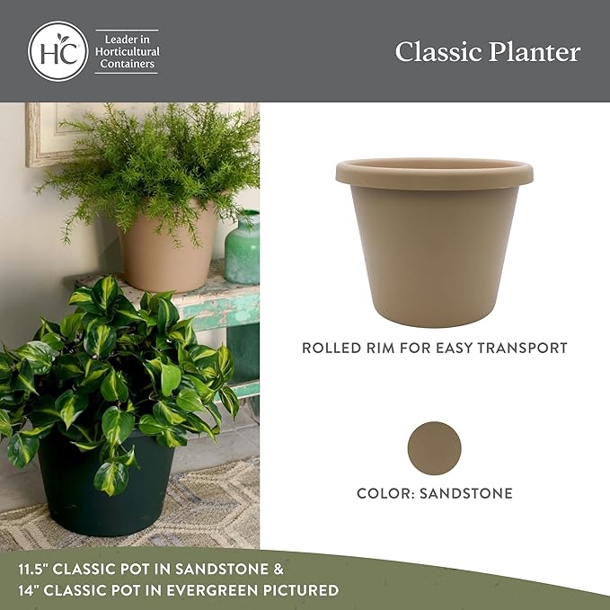 The HC Companies 11.5 inch Round Classic Planter - Plastic Plant Pot for Indoor Outdoor Plants Flowers Herbs, Sandstone (2 Pack)