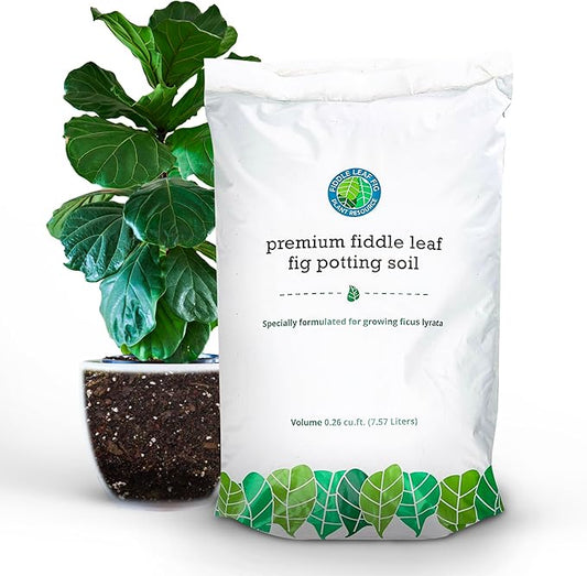 Fiddle Leaf Fig Potting Soil Mix by Fiddle Leaf Fig Plant Resource | Premium Organic Soil with Enhanced Drainage for Fast Growth and Healthy Roots (Large Bag)