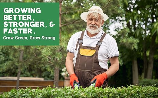 6-6-6 All-Purpose Professional Plant Food Fertilizer; Ideal for Winter Care & Spring Feeding, Perfect Balanced NPK for Indoor and Outdoor Plants (1 Quart)