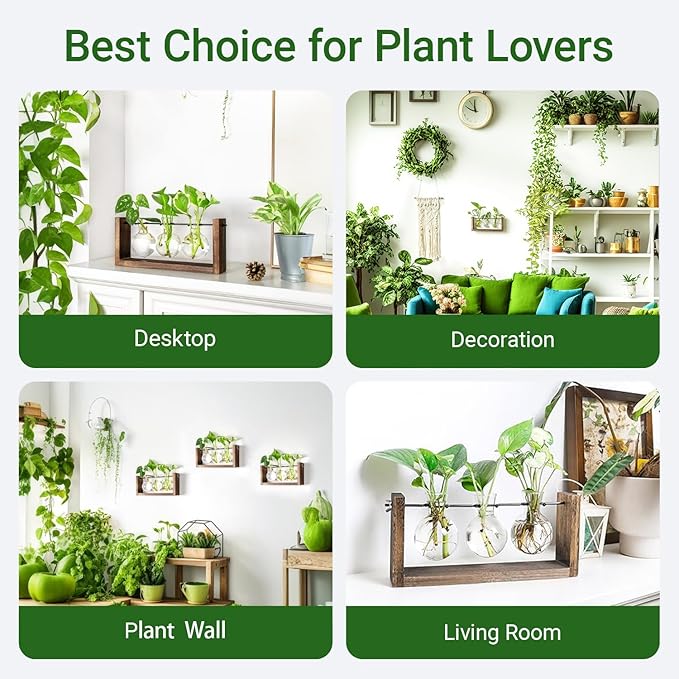 Ivolador Wall Hanging Plant Propagation Station,Bulb Plant Terrarium with Wooden Stand,Unique Gardening Gifts for Women Plant Lovers,Hydroponic Indoor Planter Home Office Decor-3 Bulb Glass Vases