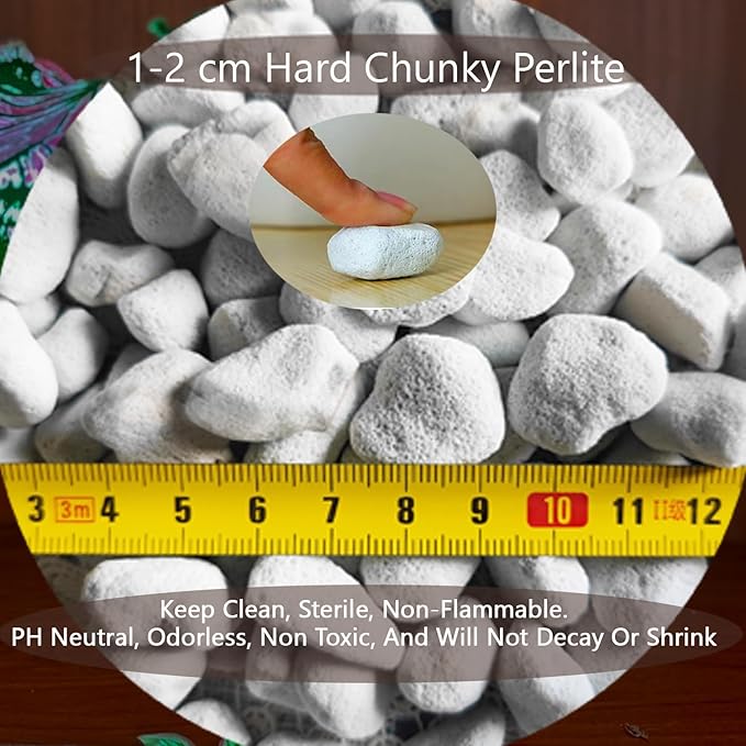 Natural 1-2CM Hard Chunky Perlite 2QT for Plants Horticultural Coarse Organic Pearlite Bulk Potting Mix Garden Soil Amendment for Enhanced Drainage and Ventilation for Orchid, Dendrobium, Araceae