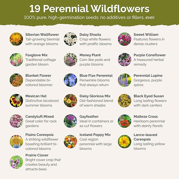 Eden Brothers All Perennial Wildflower Mixed Seeds for Planting, 25 lb, 12,000,000+ Seeds with Lupine, Shasta Daisy | Attracts Pollinators, Plant in Spring or Fall, Zones 3, 4, 5, 6, 7, 8, 9, 10