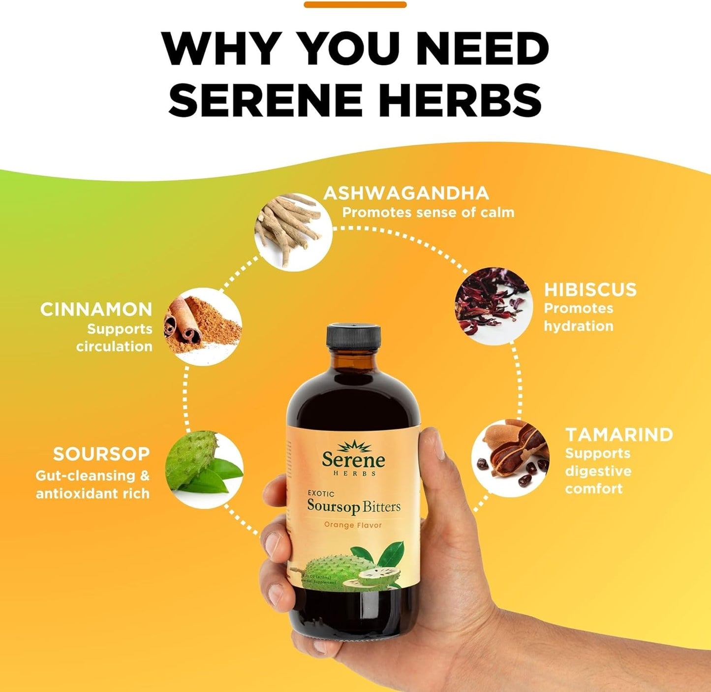 Serene Herbs Soursop Bitters Liquid with Soursop Leaves for Gut Cleanse, Detox & Immune Boost with Black Seed, Moringa, Irish Moss, Ashwaganda, Turmeric, 16 fl oz (16 Fl Oz, Orange)
