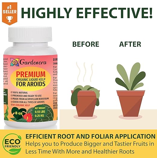 Aroid Plant Superfood - 8 oz - Organic Liquid Kelp Fertilizer for Thriving Aroid Growth