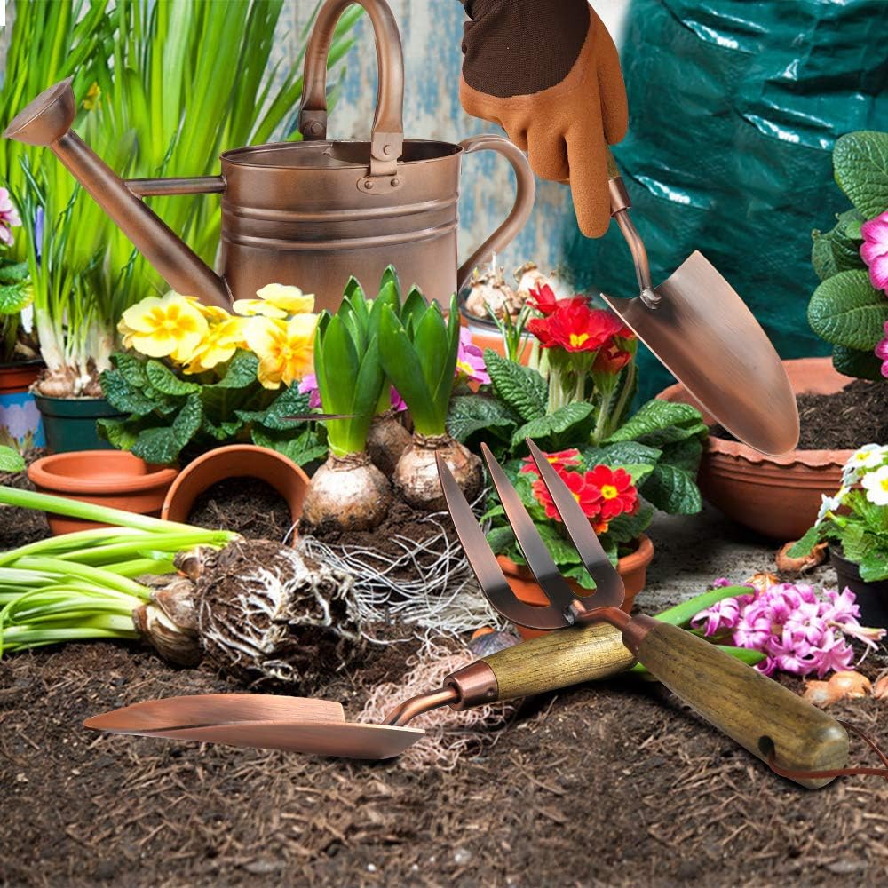 1 Gallon Galvanized Steel Watering Can with 3 Pcs of Garden Tools, 1 Pc of Pruning Shear, 1 Pair of Gardening Gloves，1 Pc of Garden Tools Organizer Tote