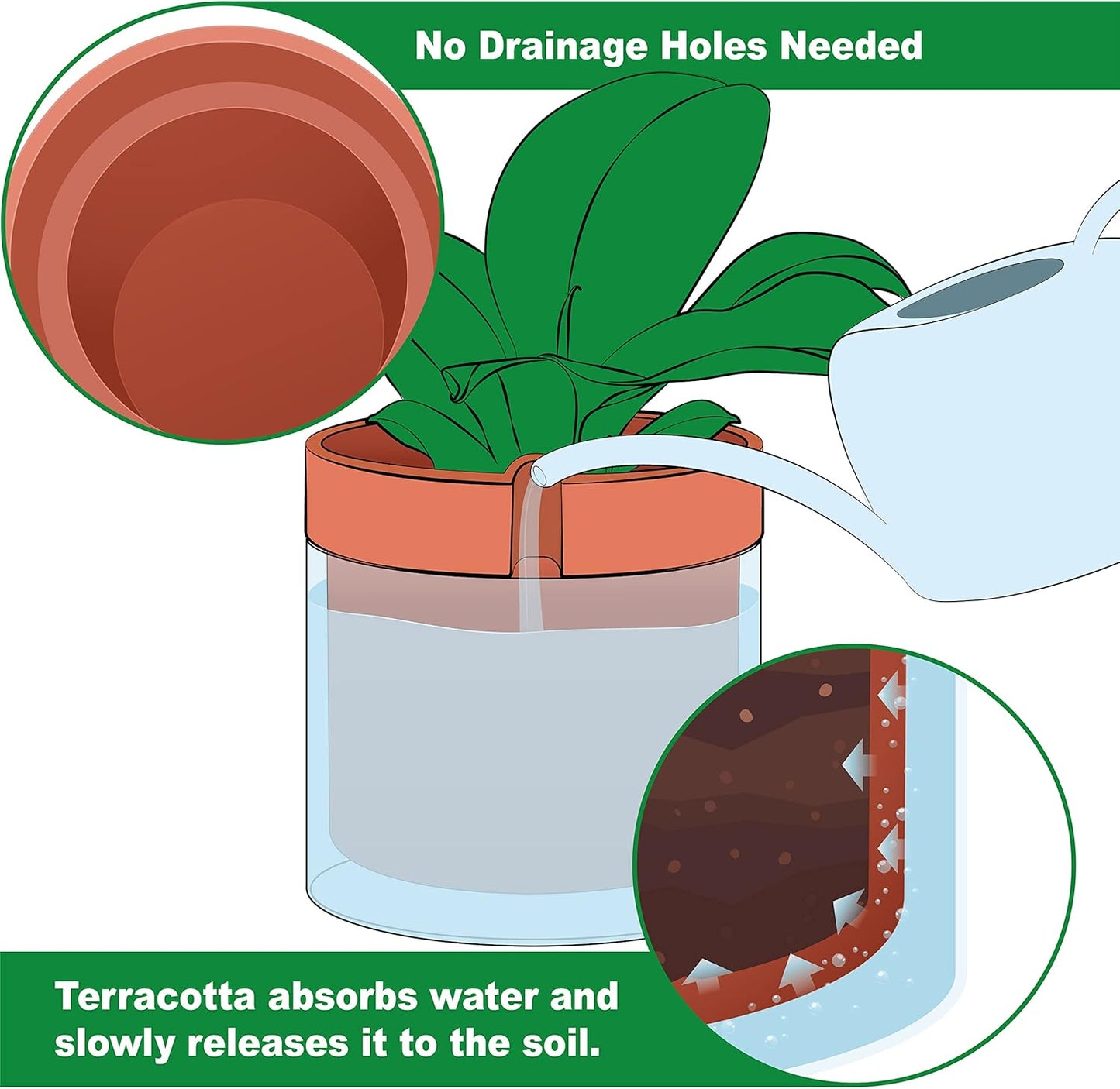 Phoenix Vine 8 Inch Self Watering Planter Pot, Terracotta Clay Pot with Glass Reservoir for Indoor Plants, Herbs, Flowers, Set of 1, 52-A-H-1