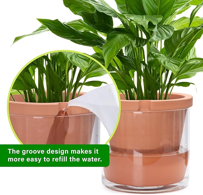 D'vine Dev 10 Inch Design Self Watering Pot for Indoor Plants, Terracotta Planter with Cylinder Glass Cup, Set of 1, 37-X-D-1